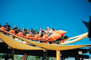 An orange roller coaster going around a bend. Source: Destination Gold Coast